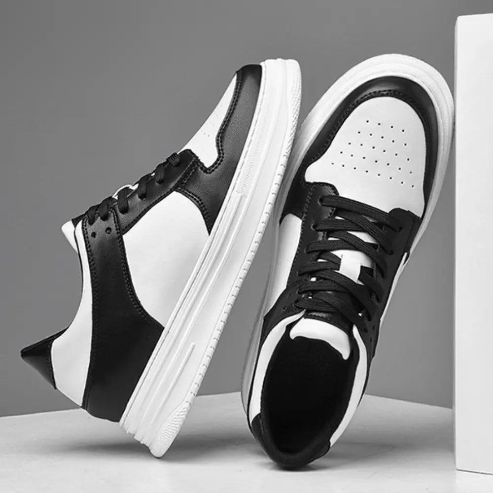 Dexter™ | +8CM Rialzo