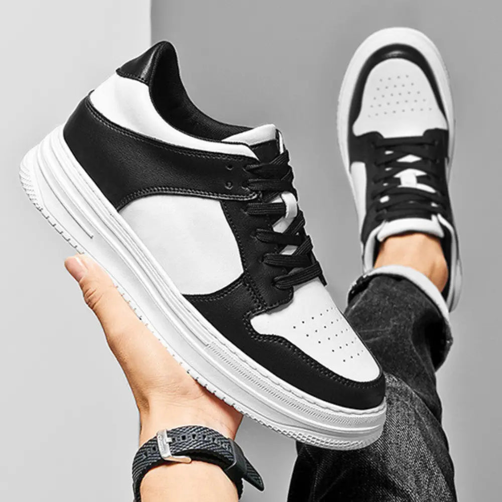 Dexter™ | +8CM Rialzo