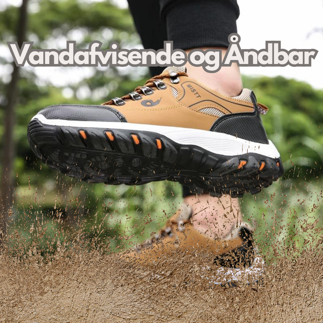 ComfyStep – Scarpe Perfette per le Tue Avventure